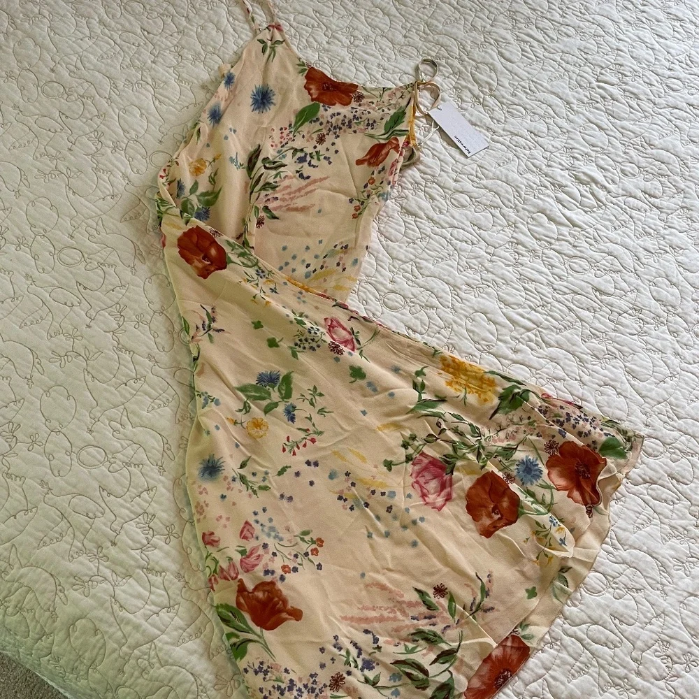Reformation Emerick dress in Etude - Picture 1 of 6